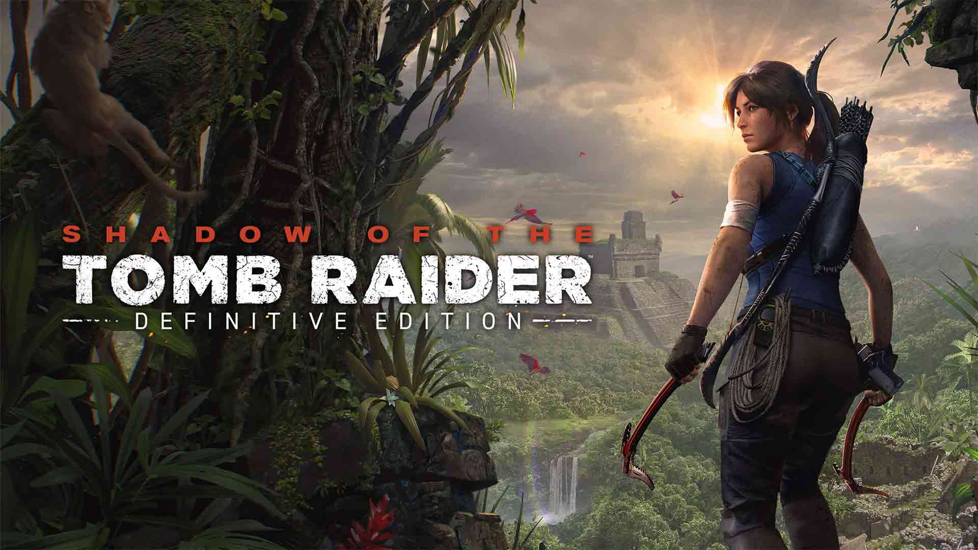سری Tomb Raider